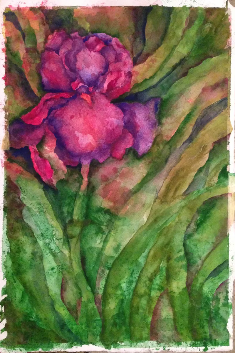 Magenta Peony